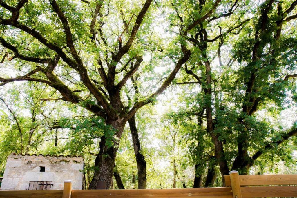 Luzech La Taniere Des Druides 빌라 외부 사진